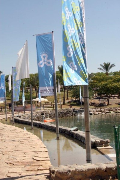 19 מתוך 546